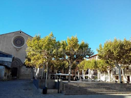 Marktplatz Pollenca Mallorca