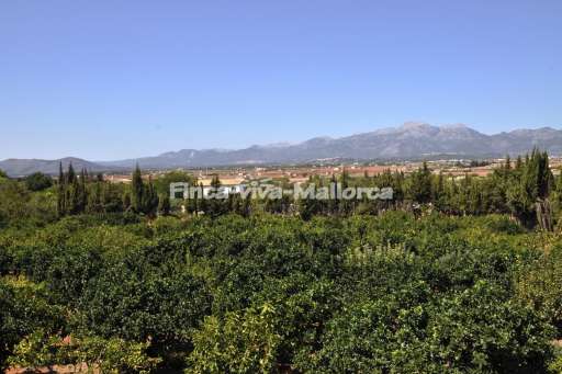 Muro Landschaft  (1).JPG