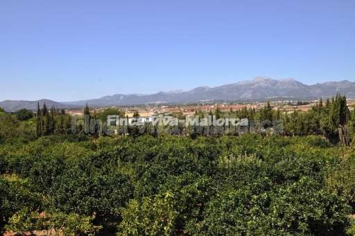 Muro Mallorca Landschaft