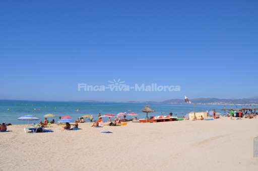 Palma de Mallorca Sept 2015 (3).JPG