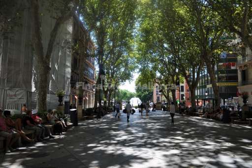 Palma de Mallorca Sept 2015 (46).JPG