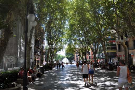 Palma de Mallorca Sept 2015 (49).JPG