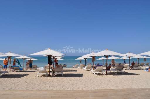 Palma de Mallorca Sept 2015 (5).JPG