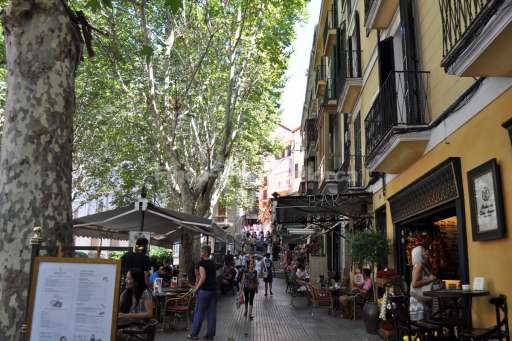 Palma de Mallorca Sept 2015 (58).JPG