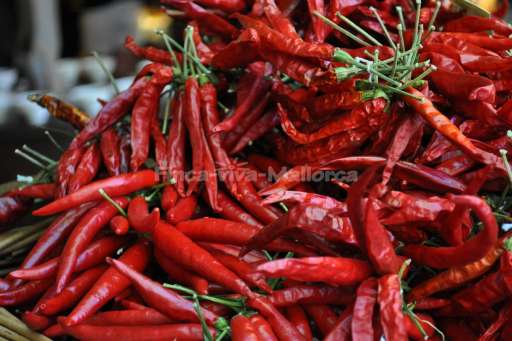 Palma de Mallorca Sept 2015 (66).JPG