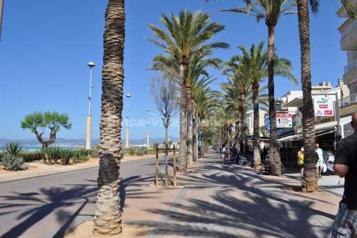 Palma de Mallorca Sept 2015 (9).JPG