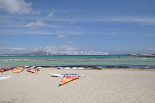 Playa de Muro (1).JPG