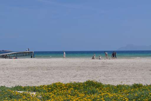 Platja d'Alcudia