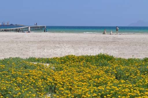 Strand Alcudia Ostern