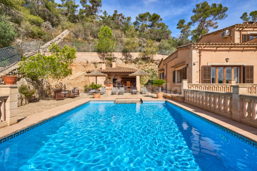 Finca Puig de Sa Figuera