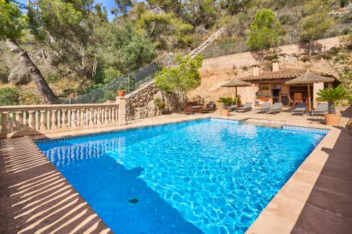 Finca Puig de Sa Figuera