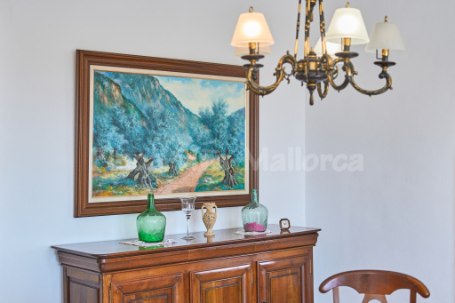 Finca Puig de Sa Figuera