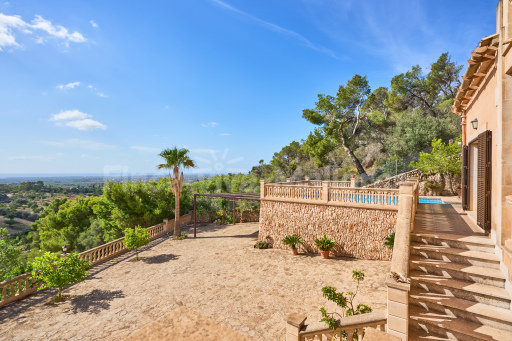 Finca Puig de Sa Figuera