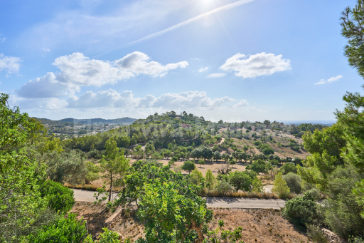 Finca Puig de Sa Figuera