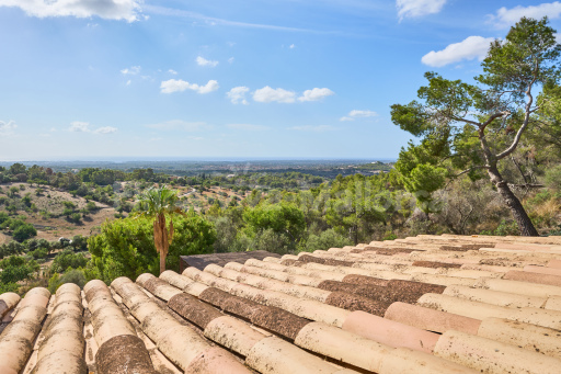 Finca Puig de Sa Figuera