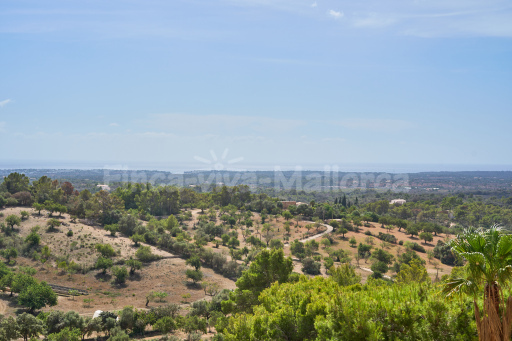 Finca Puig de Sa Figuera