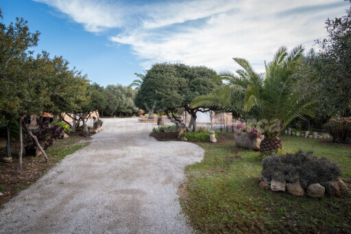 Finca Sa Bassa Llova