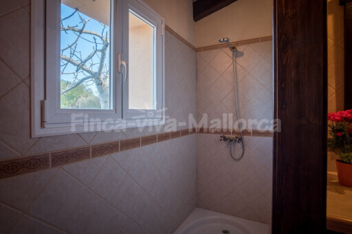 Finca Sa Bassa Llova