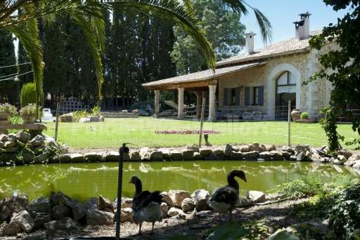 Finca Sabini Binisalem, Naturteich, Garten, Haus