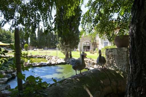 Finca Sabini Binisalem, Naturteich, schattig, Garten, Haus
