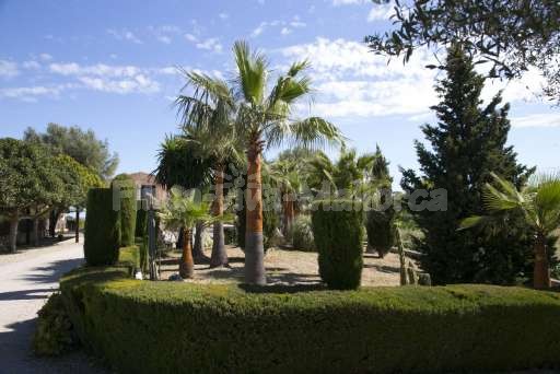 Finca Son Burguet, Garten