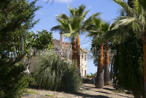 Finca Son Burguet, Garten, Haus