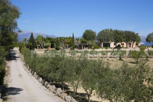 Finca Son Burguet, Ausblick, Zufahrt