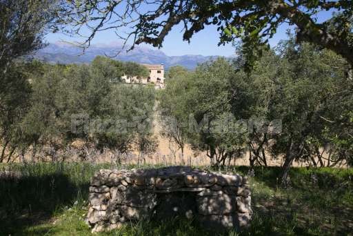 Finca Son Burguet, Zufahrt, Haus