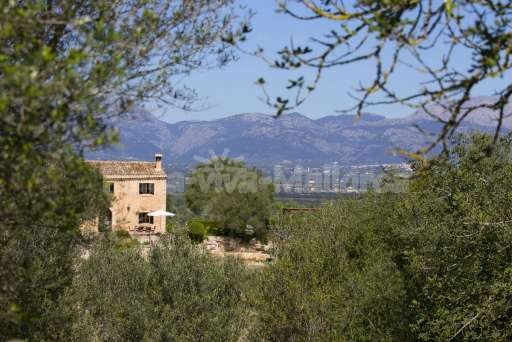 Finca Son Burguet, Haus, Ausblick