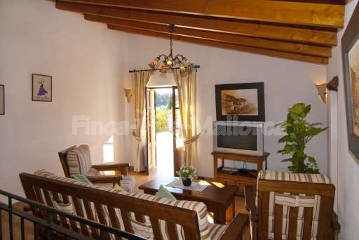 Finca Son Burguet,Sofa, Fernseher