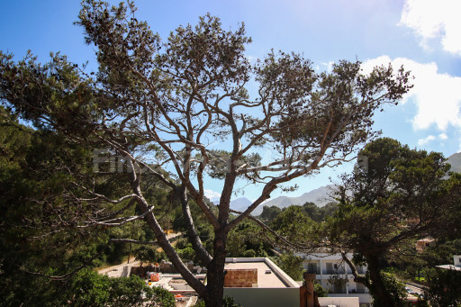 Apartment Torre Cala