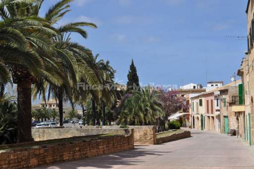 Valdemossa Ostern 2015  (2).JPG