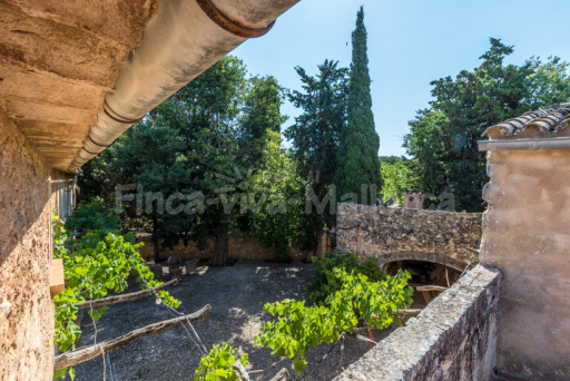 Finca Rafal Antic