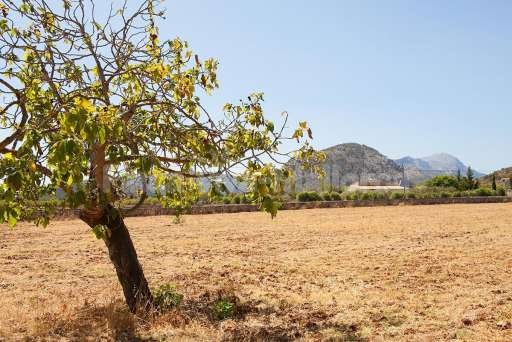 Finca Magraner Catalina Pollenca