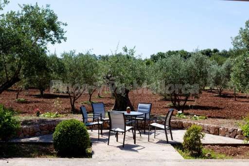 Finca Estades Petit Pollenca