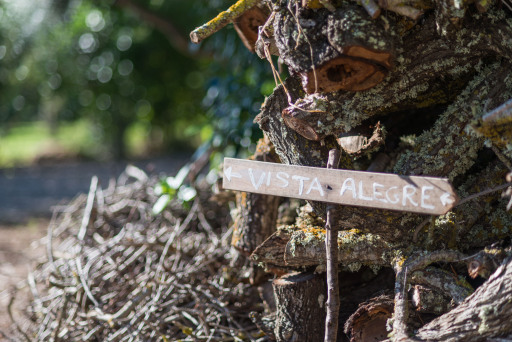 VISTA ALEGRE